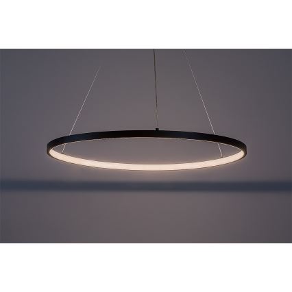 Rabalux - Suspension LED sur câble LED/55W/230V 3000K