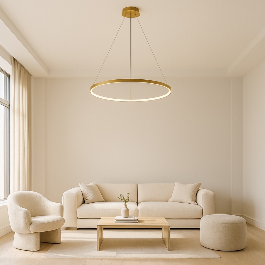 Rabalux - Lustre LED suspendu sur câble LED/55W/230V 3000K