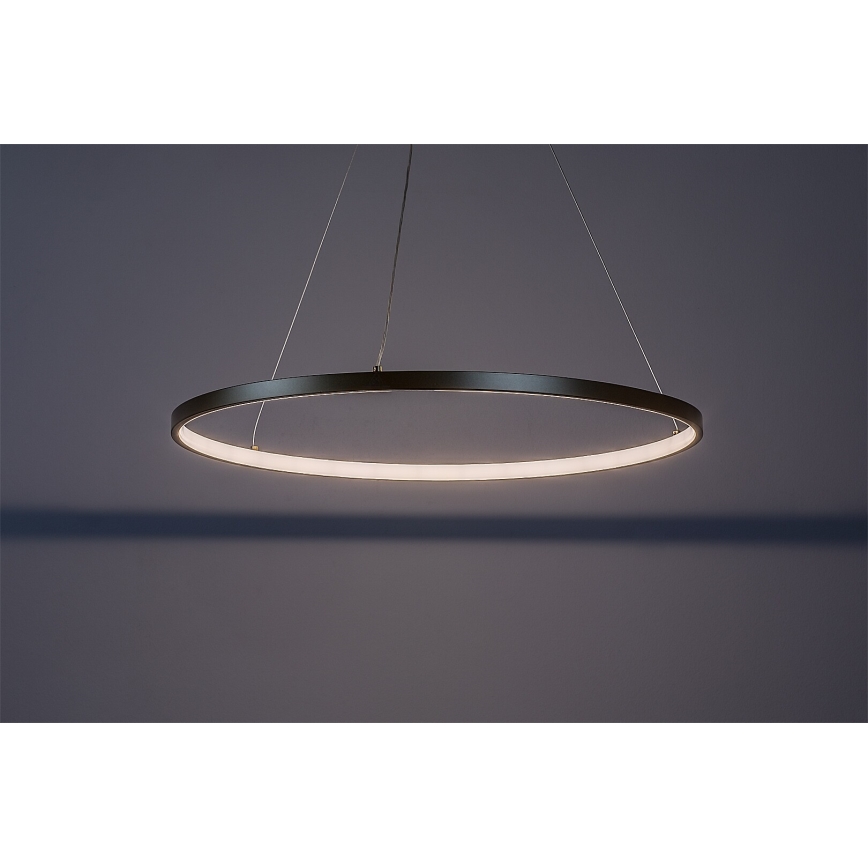 Rabalux - Lustre LED suspendu sur câble LED/55W/230V 3000K