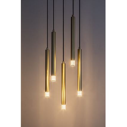 Rabalux - Suspension filaire 5xG9/5W/230V doré