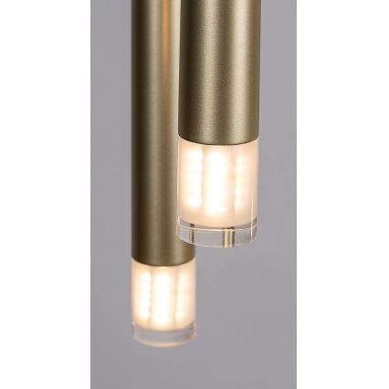 Rabalux - Suspension filaire 5xG9/5W/230V doré