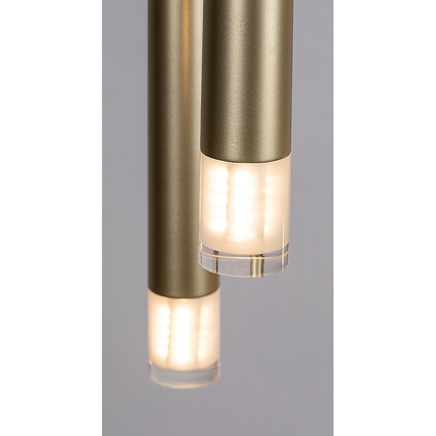 Rabalux - Suspension filaire 5xG9/5W/230V doré