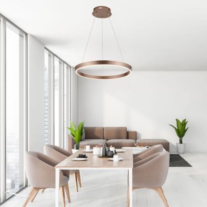 Rabalux - Suspension LED dimmable sur câble LED/36W/230V 3000–6500K + télécommande