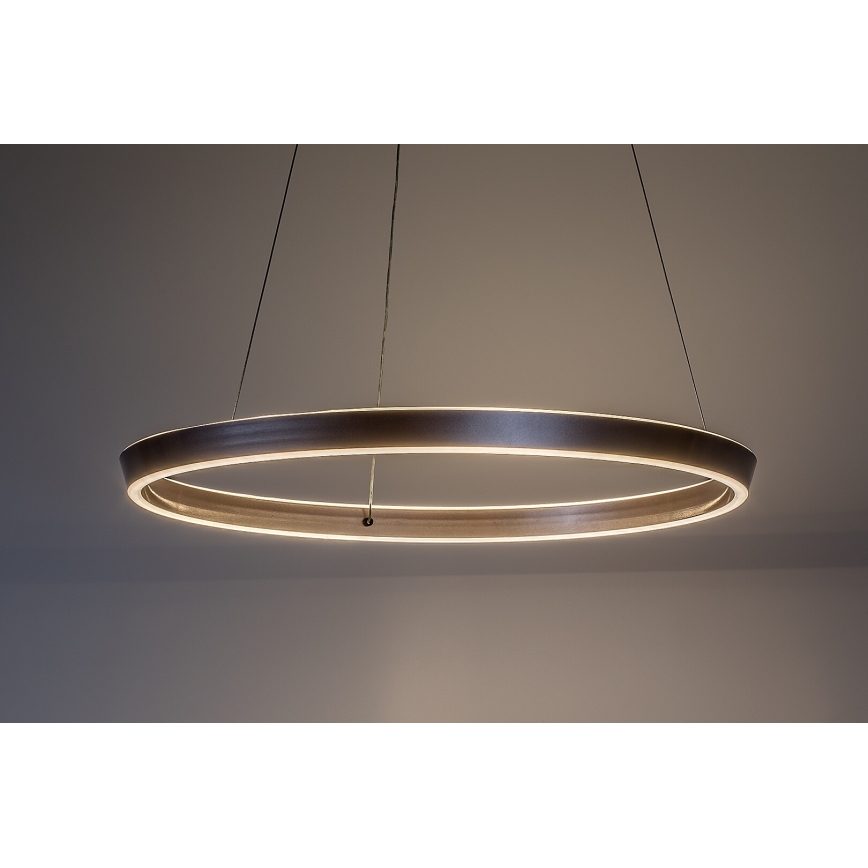 Rabalux - Suspension LED dimmable sur câble LED/36W/230V 3000–6500K + télécommande