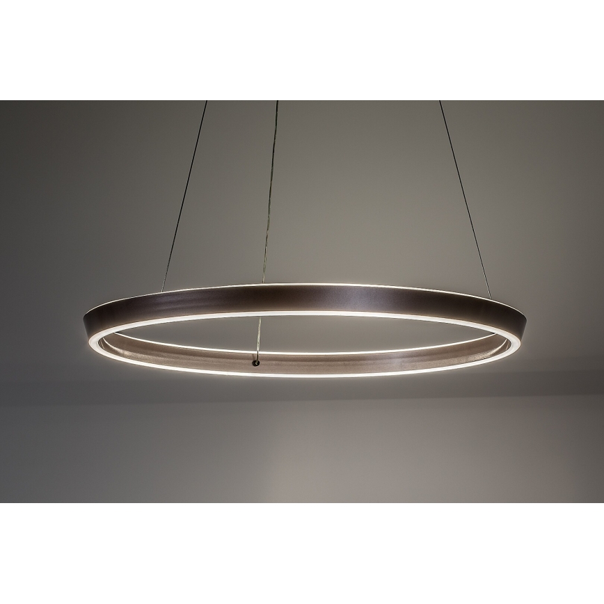 Rabalux - Suspension LED dimmable sur câble LED/36W/230V 3000–6500K + télécommande