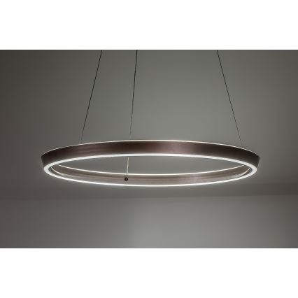 Rabalux - Suspension LED dimmable sur câble LED/36W/230V 3000–6500K + télécommande