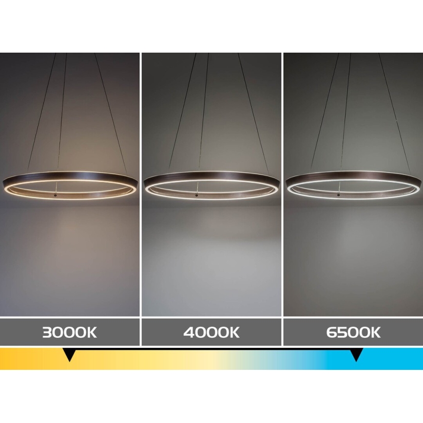 Rabalux - Suspension LED dimmable sur câble LED/36W/230V 3000–6500K + télécommande