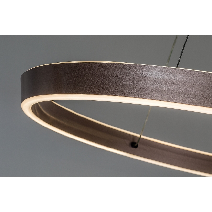 Rabalux - Suspension LED dimmable sur câble LED/36W/230V 3000–6500K + télécommande
