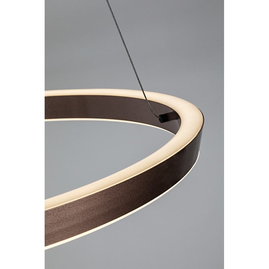 Rabalux - Suspension LED dimmable sur câble LED/36W/230V 3000–6500K + télécommande