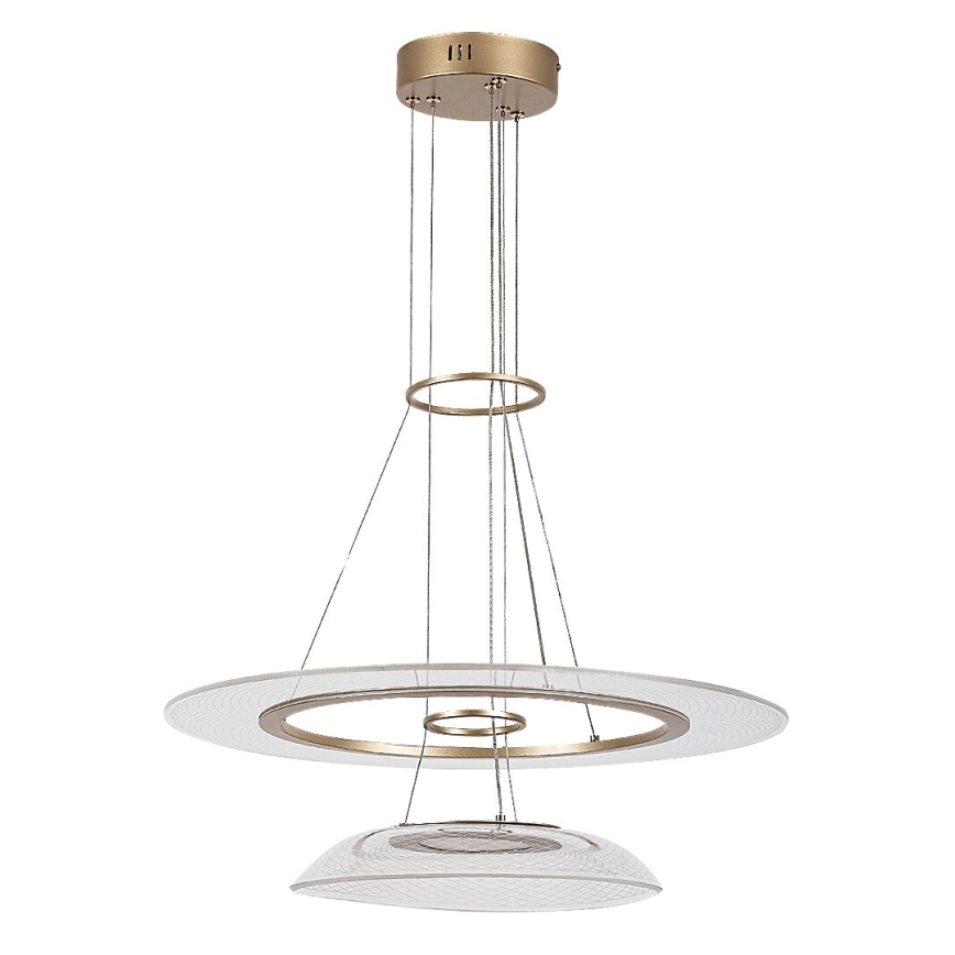 Rabalux - Suspension sur câble LED/36W/230V 3000K