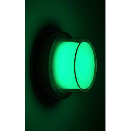 Rabalux - LED RGBW Applique murale extérieure LED/10W/230V IP54 Wi-Fi Tuya