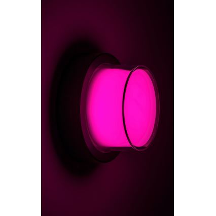 Rabalux - LED RGBW Applique murale extérieure LED/10W/230V IP54 Wi-Fi Tuya