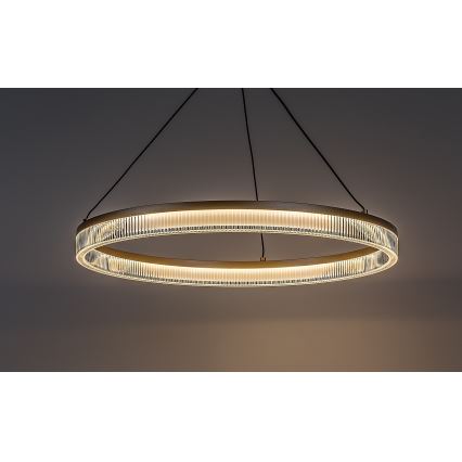 Rabalux - Suspension LED à intensité variable sur câble LED/24W/230V 3000-6500K + télécommande