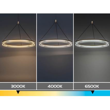 Rabalux - Suspension LED à intensité variable sur câble LED/24W/230V 3000-6500K + télécommande