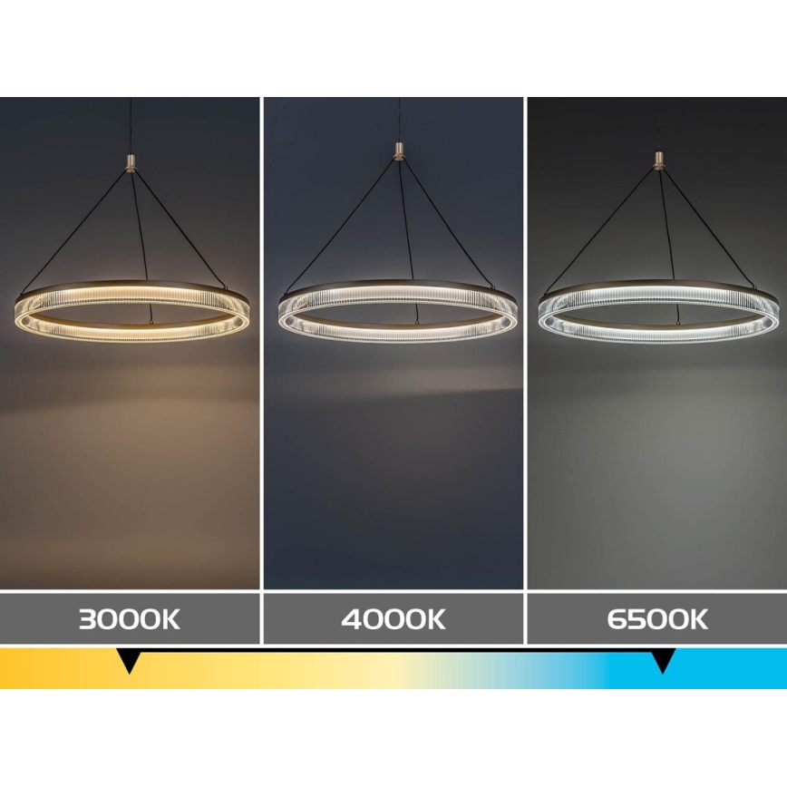 Rabalux - Suspension LED à intensité variable sur câble LED/24W/230V 3000-6500K + télécommande