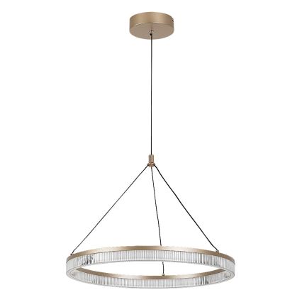 Rabalux - Suspension LED à intensité variable sur câble LED/24W/230V 3000-6500K + télécommande