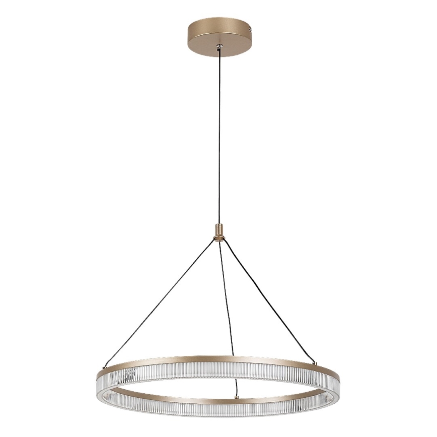 Rabalux - Suspension LED à intensité variable sur câble LED/24W/230V 3000-6500K + télécommande