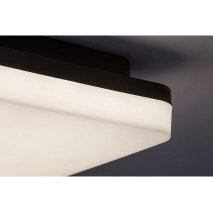 Rabalux - Plafonnier de salle de bain LED/24W/230V IP54