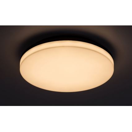 Rabalux - Plafonnier de salle de bain LED/24W/230V IP54