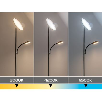 Rabalux - Lampadaire LED à intensité variable LED/23W/230V 3000/4200/6500 noir