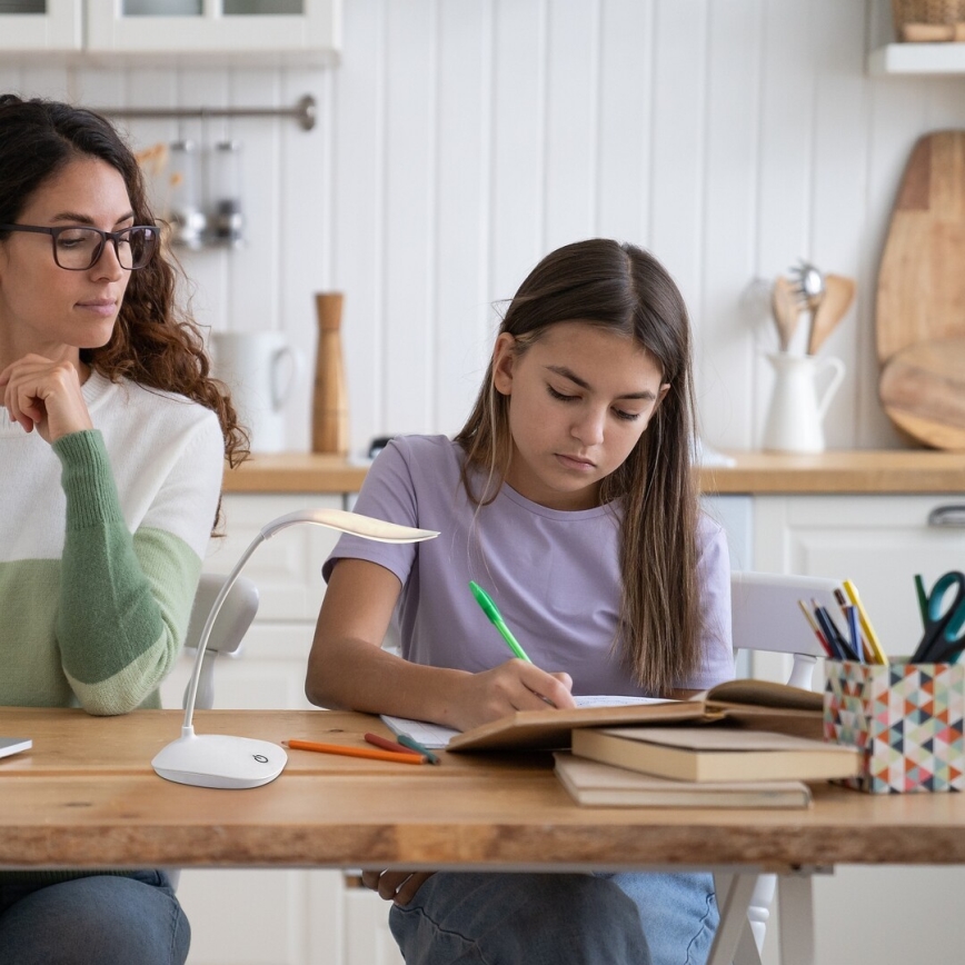 Rabalux - Lampe de bureau LED dimmable et flexible LED/2W/5V blanche