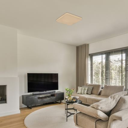 Rabalux - Plafonnier LED avec détecteur, 12W, 230V, 4000K, 28 x 28 cm