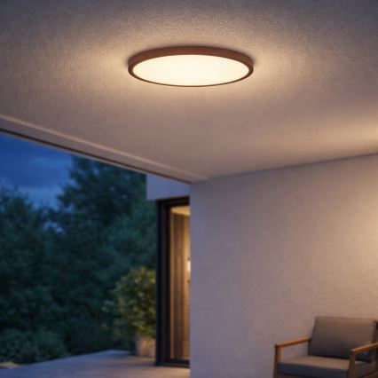Rabalux - Plafonnier LED pour salle de bains LED/24W/230V 3000/4000/6000K Ø 40 cm IP44 brun