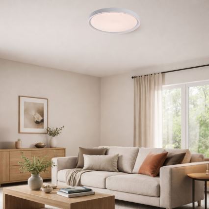 Rabalux - Plafonnier LED dimmable LED/31W/230V IP40 3000-6500K Ø 41,5 cm + télécommande
