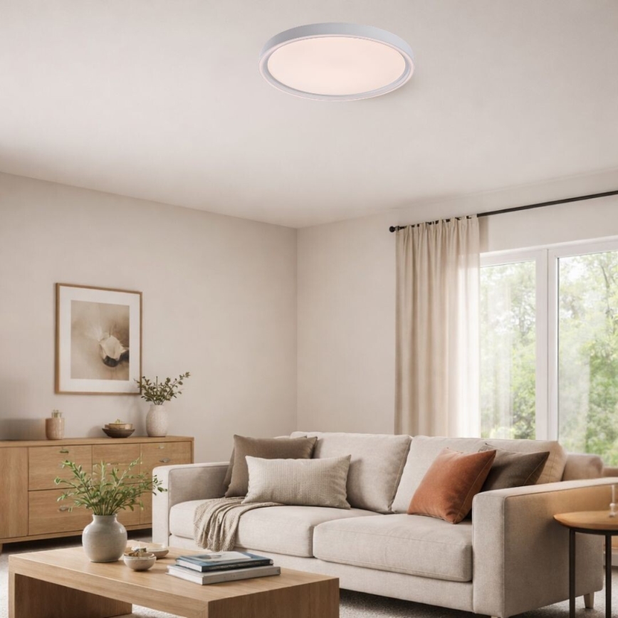 Rabalux - Plafonnier LED dimmable LED/31W/230V IP40 3000-6500K Ø 41,5 cm + télécommande