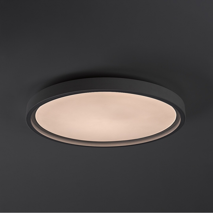 Rabalux - Plafonnier LED dimmable LED/31W/230V IP40 3000-6500K Ø 41,5 cm + télécommande