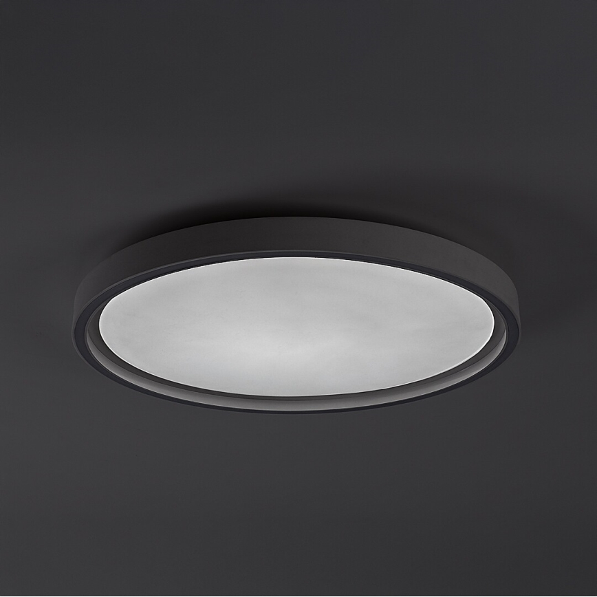 Rabalux - Plafonnier LED dimmable LED/31W/230V IP40 3000-6500K Ø 41,5 cm + télécommande