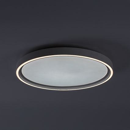 Rabalux - Plafonnier LED dimmable LED/31W/230V IP40 3000-6500K Ø 41,5 cm + télécommande