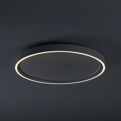 Rabalux - Plafonnier LED dimmable LED/31W/230V IP40 3000-6500K Ø 41,5 cm + télécommande