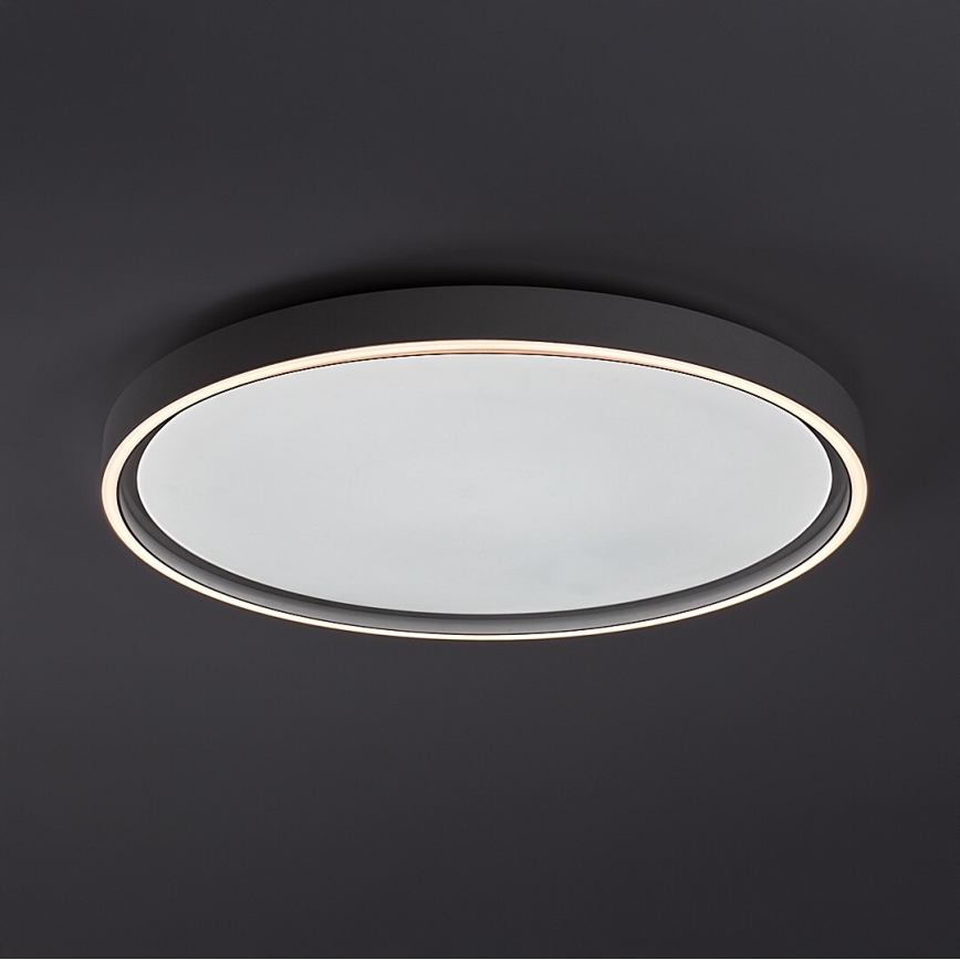 Rabalux - Plafonnier LED dimmable LED/54W/230V IP40 3000-6500K Ø 52 cm + télécommande