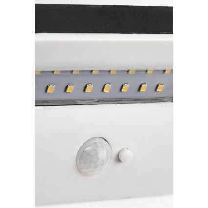 Rabalux - Éclairage solaire avec détecteur LED/3,2W/3,7V IP44