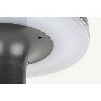 Rabalux - Éclairage solaire avec détecteur LED/10W/3,7V IP44