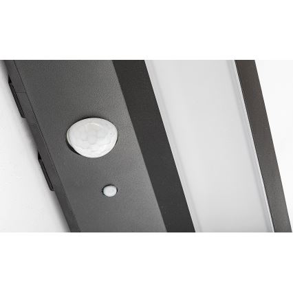 Rabalux - Éclairage solaire avec détecteur LED/6W/3,7V IP44