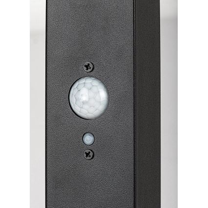 Rabalux - Lampe solaire avec détecteur LED/4W/3,7V IP44 noir 2200 mAh