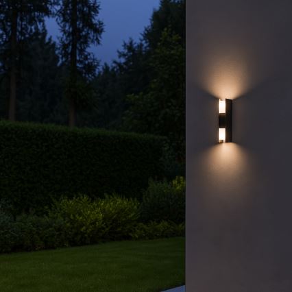 Rabalux - Applique murale extérieure LED/13W/230V IP65 anthracite