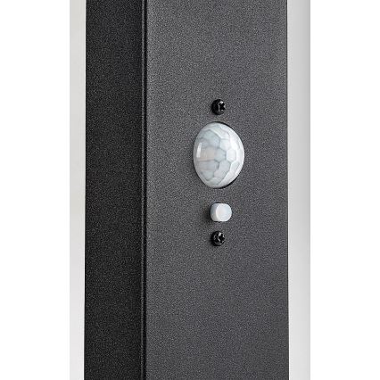 Rabalux - Lampe solaire d'extérieur LED dimmable avec capteur LED/4,4W/3,7V IP54 anthracite 2200 mAh