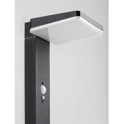 Rabalux -  Lampe solaire extérieure à intensité variable avec détecteur LED/4,4W/3,7V IP54 anthracite