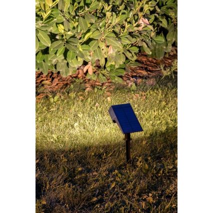 Rabalux - Éclairage solaire LED/0,5W/3,7V IP65 noir 3000 mAh