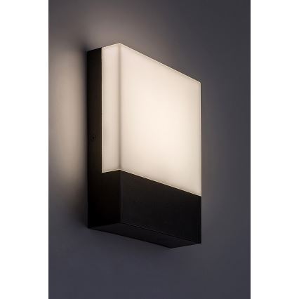 Rabalux - Applique murale extérieure LED/10W/230V IP44 noir