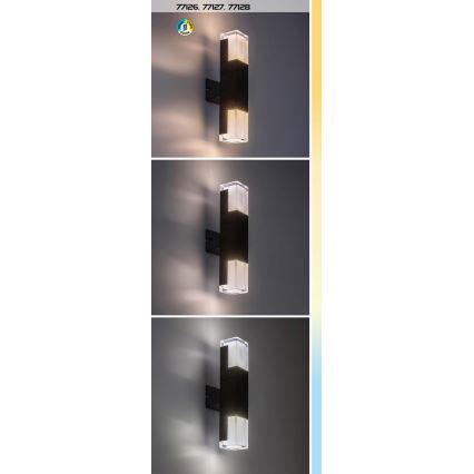 Rabalux - Lampe extérieure LED/7W/230V IP54