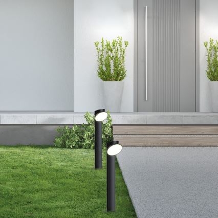 Rabalux - Lampe extérieure LED/12W/230V IP54