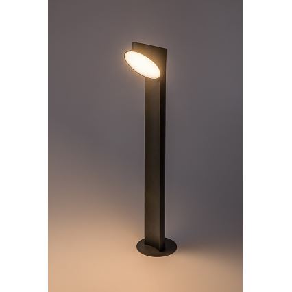 Rabalux - Lampe extérieure LED/12W/230V IP54