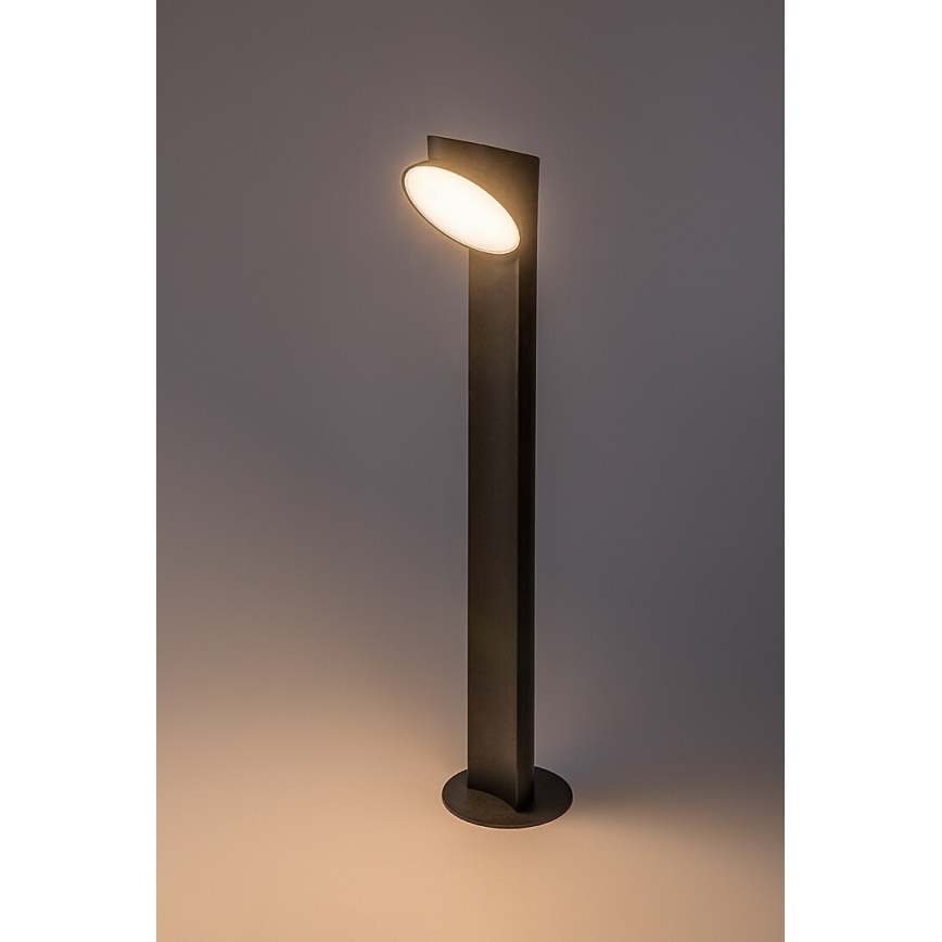 Rabalux - Lampe extérieure LED/12W/230V IP54