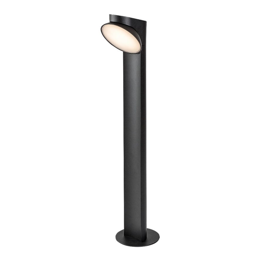 Rabalux - Lampe extérieure LED/12W/230V IP54