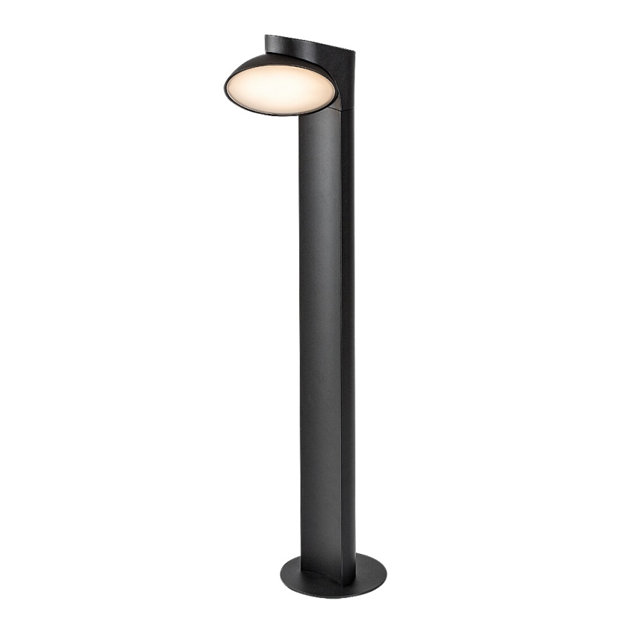 Rabalux - Lampe extérieure LED/12W/230V IP54
