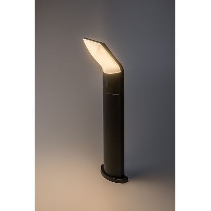Rabalux - Lampe extérieure LED/10W/230V IP54